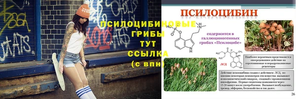 тгк Верхний Тагил