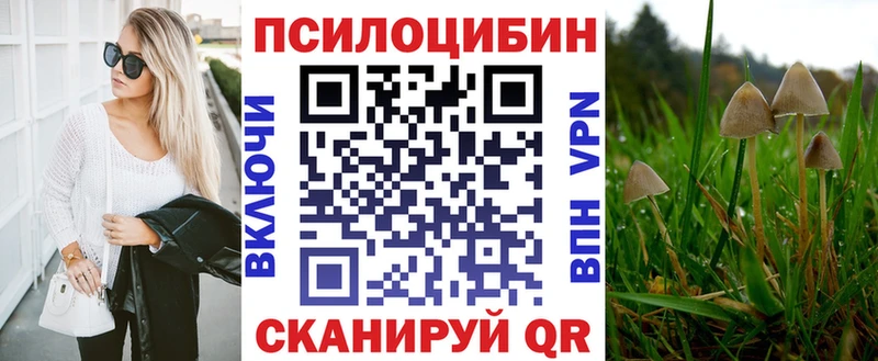 ссылка на мегу сайт  закладки  Новохопёрск  Галлюциногенные грибы Cubensis 