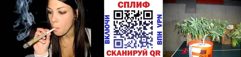 блэк спрут вход  Новохопёрск  Бошки Шишки AK-47  наркошоп 